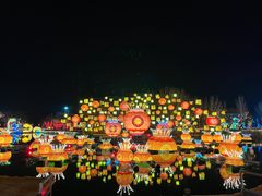 -淄博花灯齐彩城