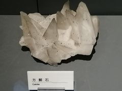 -重庆自然博物馆(新馆)