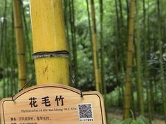 -黄公望隐居地