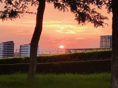 -莫子山公园