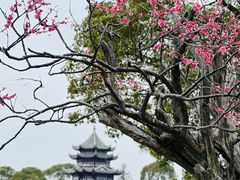 -上海海湾国家森林公园