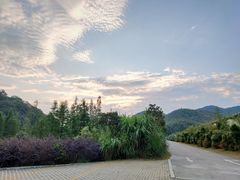-广州市石门国家森林公园