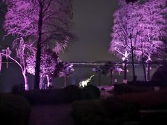 -湖滨客舍·湖北菜