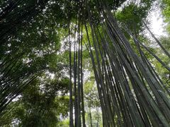 -成都杜甫草堂博物馆