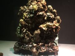 -青田石雕博物馆