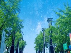 -燕鸣岛