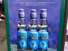 -富田农场