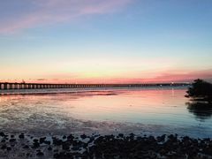 -宝安西湾红树林湿地公园