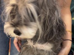 -艾贝尔宠物医院·24H转诊中心·肿瘤猫专科(江宁双龙店)
