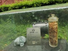 -广州神农草堂中医药博物馆