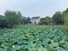 -丝绸小镇荻港古村