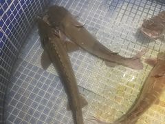 -好灶头铁锅炖(万象城店)