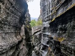 -梭布垭石林景区