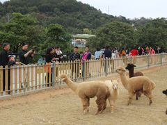 -泉州海丝野生动物世界