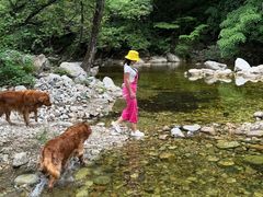 -黑河国家森林公园
