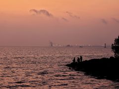 -上海吴淞炮台湾国家湿地公园