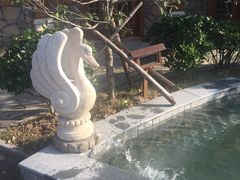 -宁波杭州湾海底温泉