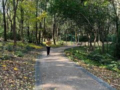 -昆山城市生态森林公园