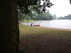 -南宁良凤江国家森林公园