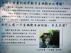 -青藏高原野生动物园