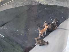 -潮福城大酒楼·潮味粤品·港式点心(湖滨北路店)