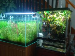 -繁花足道(梅江店)