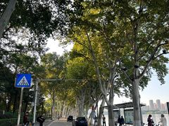 -武汉大学-樱园