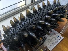 -宫品海参专卖店(静安大宁店)