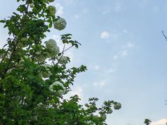 -大龙山(地铁站)