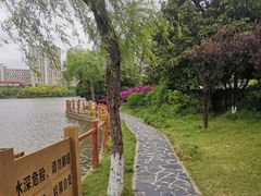 -黄兴公园