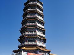 -金塔沙漠胡杨林景区