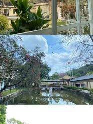 -爱帝宫月子中心(罗湖别墅院)