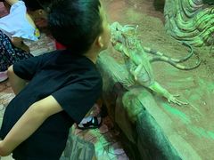 -华夏文旅海洋公园