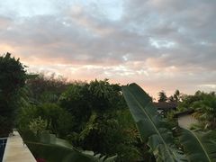 -椰树岛海滩度假村