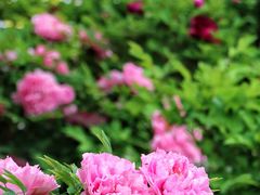 -大钟寺古钟博物馆