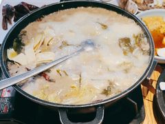 -滇铺子·云南特色菜·第九届野生菌美食节(东风东路c86店)