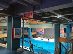 -锦艺城海洋馆