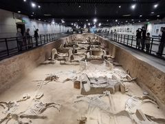 -洛阳周王城天子驾六博物馆