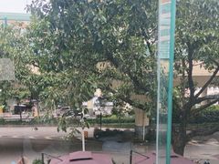 -甘家界牌柠檬鸭(青山店)