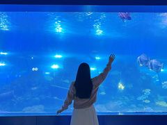 -重庆欢乐海底世界