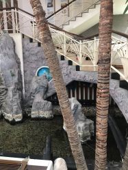 -五洲妇儿医院