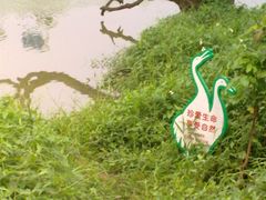 -鹤之洲湿地公园