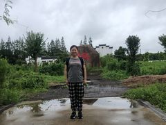 -海上花岛玫瑰园采摘