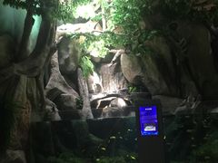 -福州罗源湾海洋世界旅游区