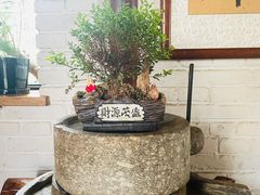 -寂照庵