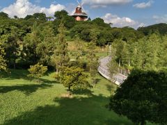 -东莞植物园