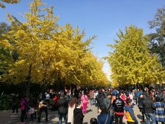 -辽宁大学(崇山校区)