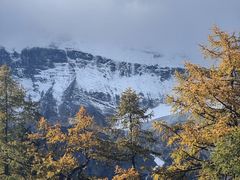 -稻城亚丁风景区-电瓶观光车售票处