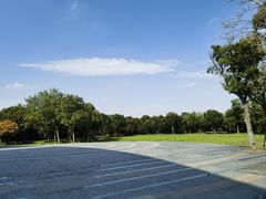 -上海吴淞炮台湾国家湿地公园