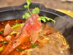 火锅鱼-川王府 Chuan Palace Chinese Restaurant